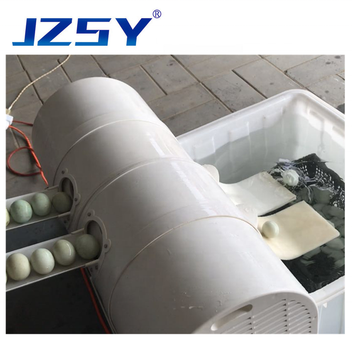 2022 New Type ABS Environment-Friendly Plastic Material Automatic Fresh Egg Cleaning Washing Machine Dirty Duck Egg Washer