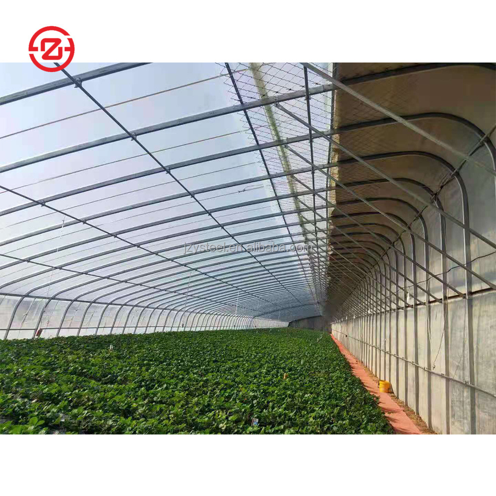 The commercial agricultural cheapest plastic tunnel greenhouse for sale