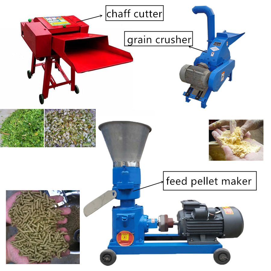 Best Price Feed Pellet Press Machine Goat Feed Pellet Making Machine Grass Pellet Maker Price