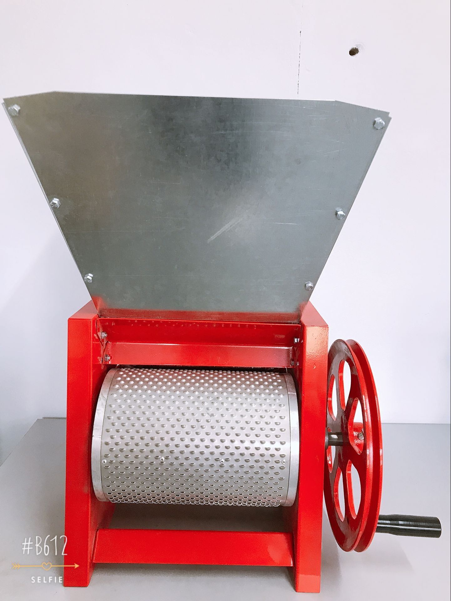 Stainless Steel Coffee Pulper Peeling Machine/Coffee Pulper Machine