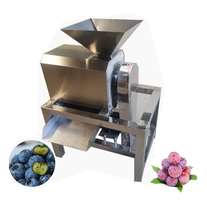 different capacity Fruit Pulpers Machine Seeds Removing for factory