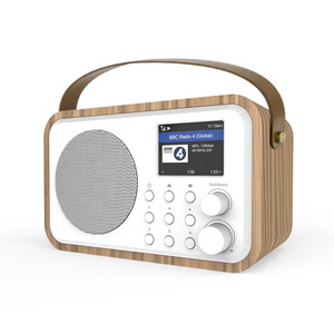 DB-336 Portable DAB DAB+ FM Radio with Built-in Battery Rechargeable with Handle