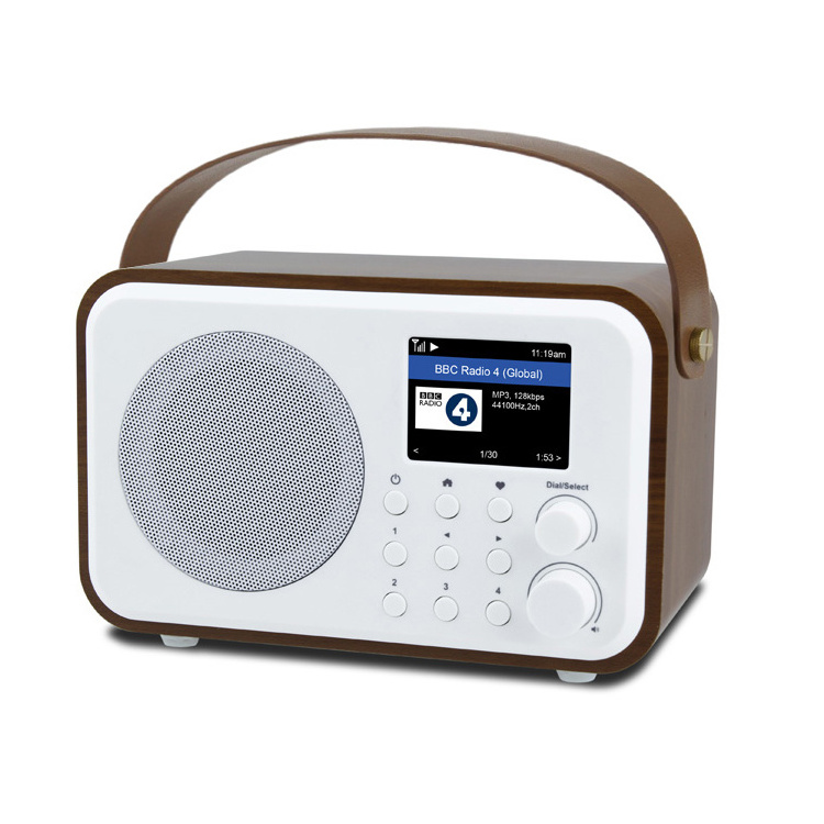 DB-336 Portable DAB DAB+ FM Radio with Built-in Battery Rechargeable with Handle