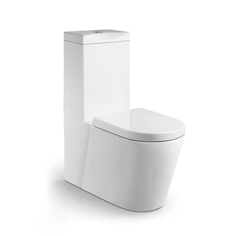 European standard bathroom one piece ceramic washdown toilet sanitary wc toilet bowl