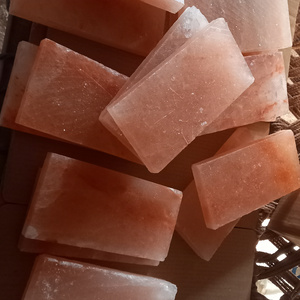 Best Quality Himalayan Pink Salt Tile / Brick