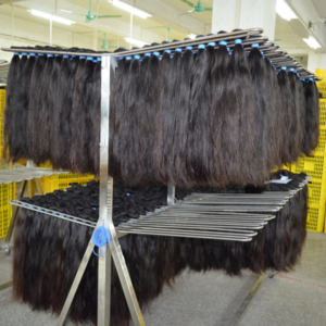 Wholesale raw indian hair bundles from india vendor,raw indian remy hair wholesale,raw indian cuticle aligned hair vendor