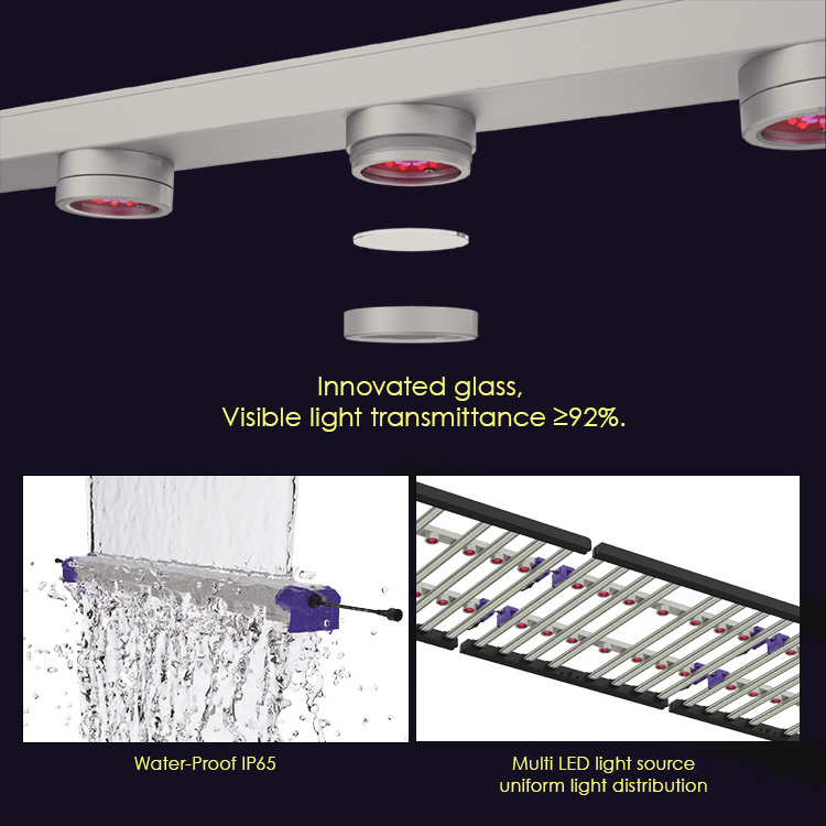 Lighting For Indoor Farming Bloom Spectrum 50W 100W Light Bar Dimmable Led Plant Grow Light UV IR Indoor Plants Lm301B Lm301H