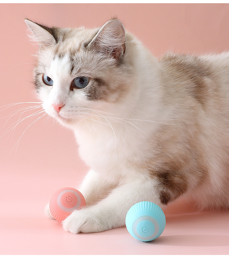 Funny USB rechargeable Attractive Pet cute smart  automatic rolling cat toy ball electric cat toy cat ball toys