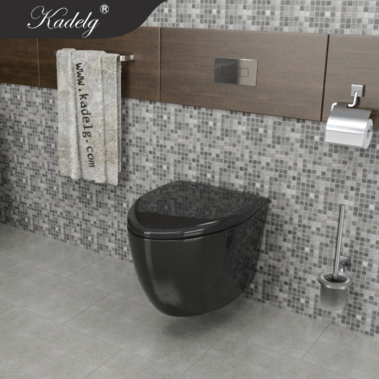 African Washdown Black Wall Hung Toilet