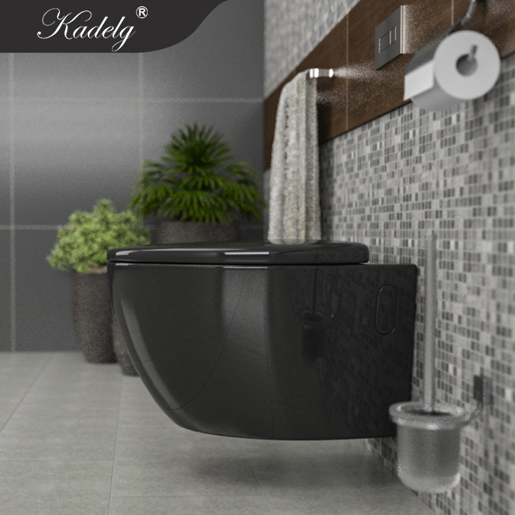 African Washdown Black Wall Hung Toilet