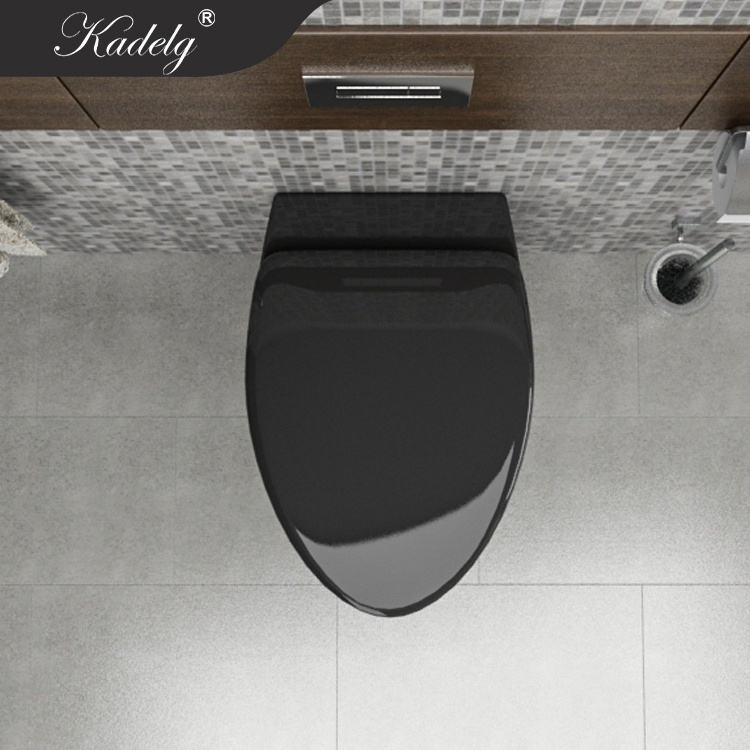 African Washdown Black Wall Hung Toilet