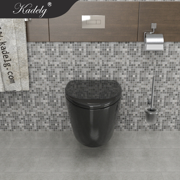 African Washdown Black Wall Hung Toilet