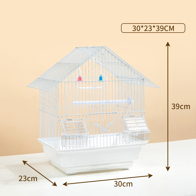 Bird cage, parrot, canary with feeder, jumping on the swing to rest