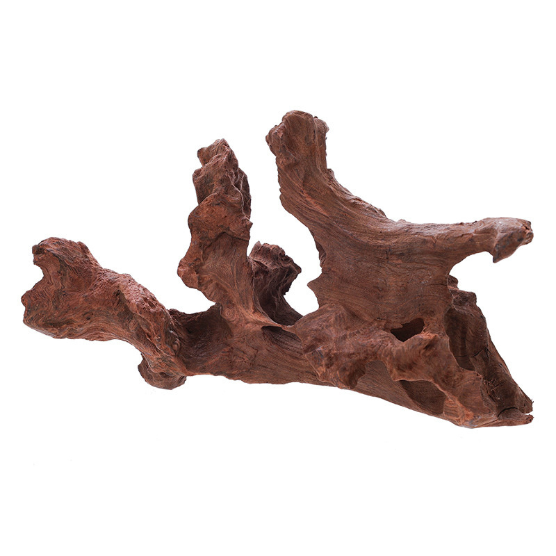 Aquarium driftwood landscaping avoid tree roots bromeliad flower decoration small sunken wood