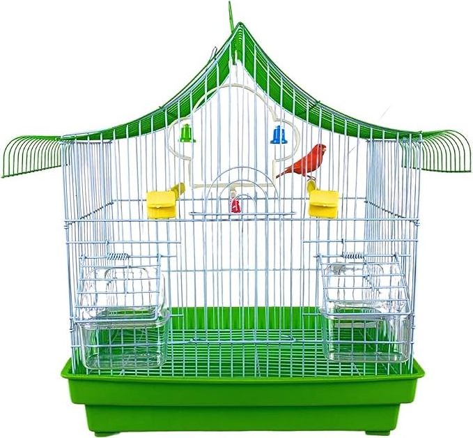 Bird cage, parrot, canary with feeder, jumping on the swing to rest