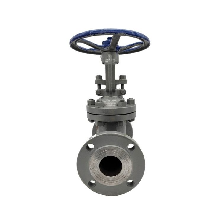 1 inch dn150 water carbon steel stem stainless steel soft sealing sluice honey manual slide kitz Gate Valve