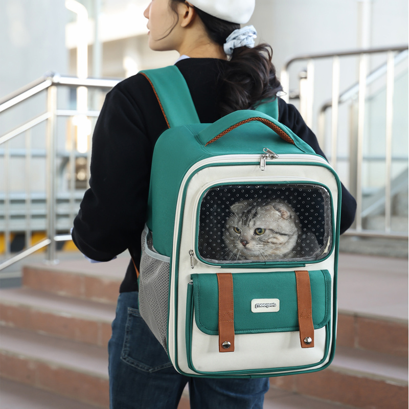 New Arrival Portable Lightweight Foldable Three Sides Breathable Ventilated Pet Carrier Backpack for Cat Kitten Dog