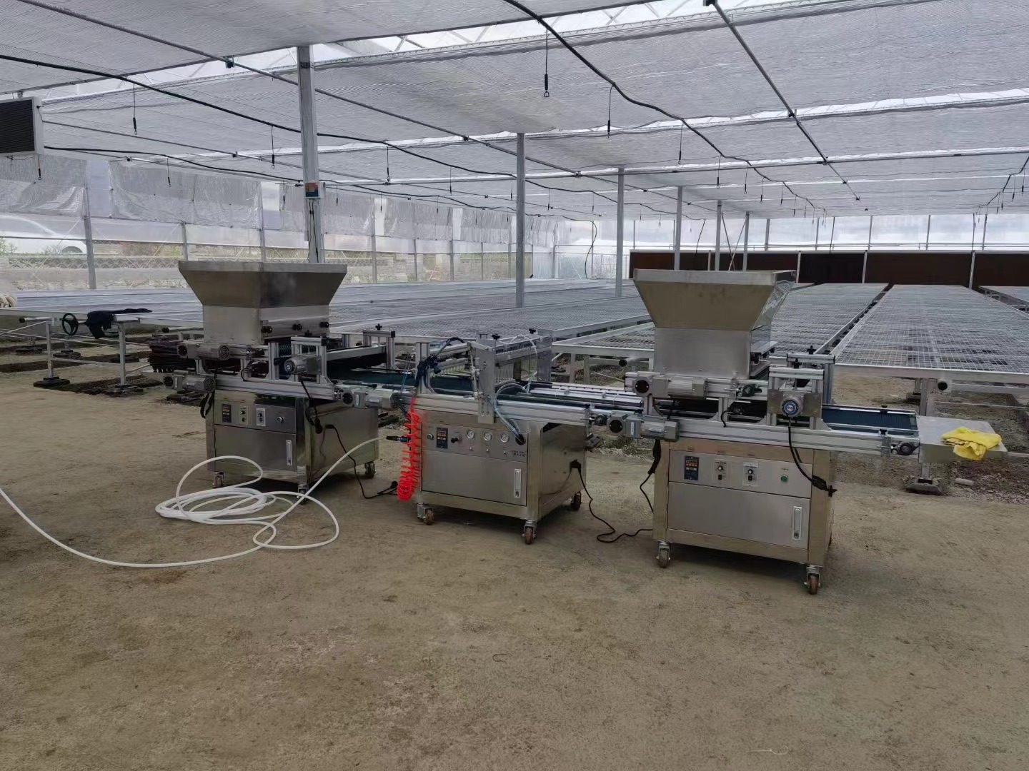 Vegetable plug tray seedling planter flowers seeder sowing machine Automatic plug tray seedling production line