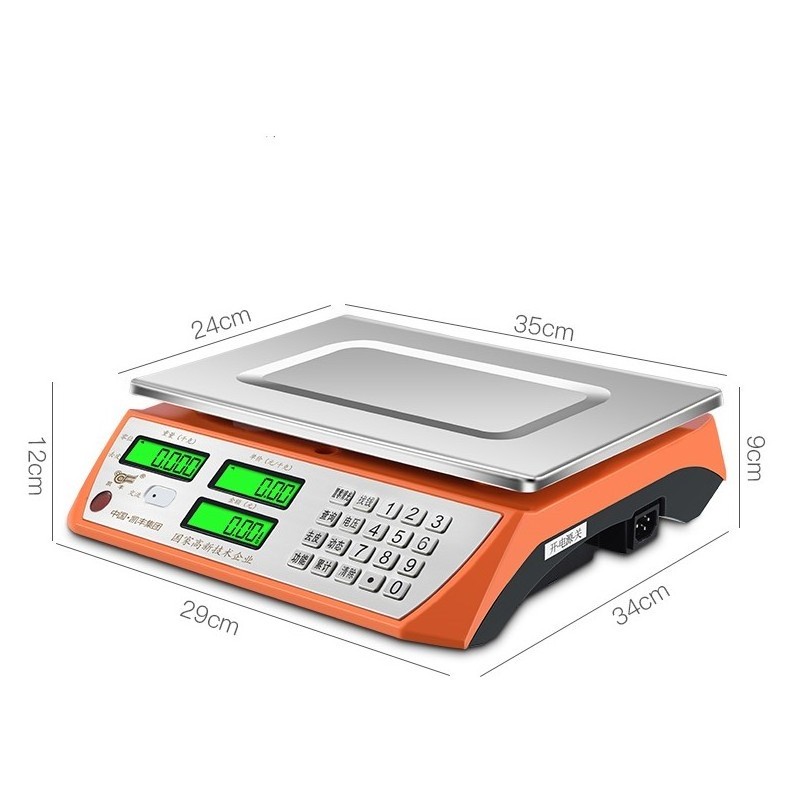 ACS-868 acs Series Electronic Price Computing Scale Plastic Digital Weighting Scale 30kg/1g