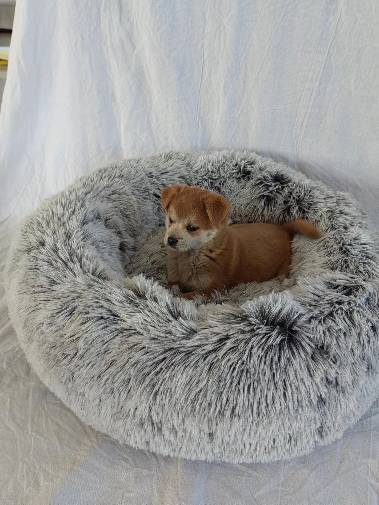 Cute cat bed Round dog bed soft comfortable luxury plush pet cushion grey colorful rainbow,  All-season Application dog bed