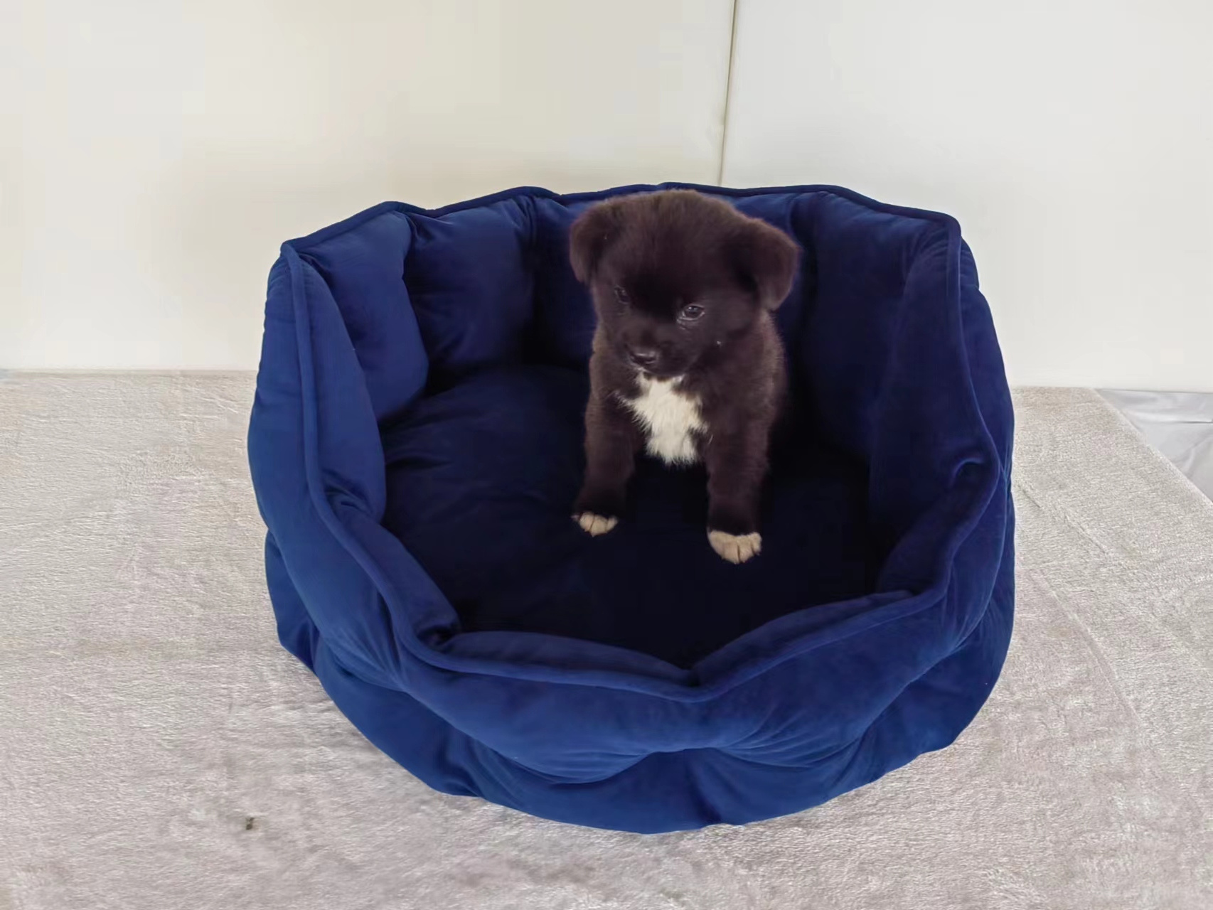 New design Dog bed soft comfortable luxury sleeping pet bed,  dog bed Round Cat Bed Dirty resistant dog bed, durable dog kennel