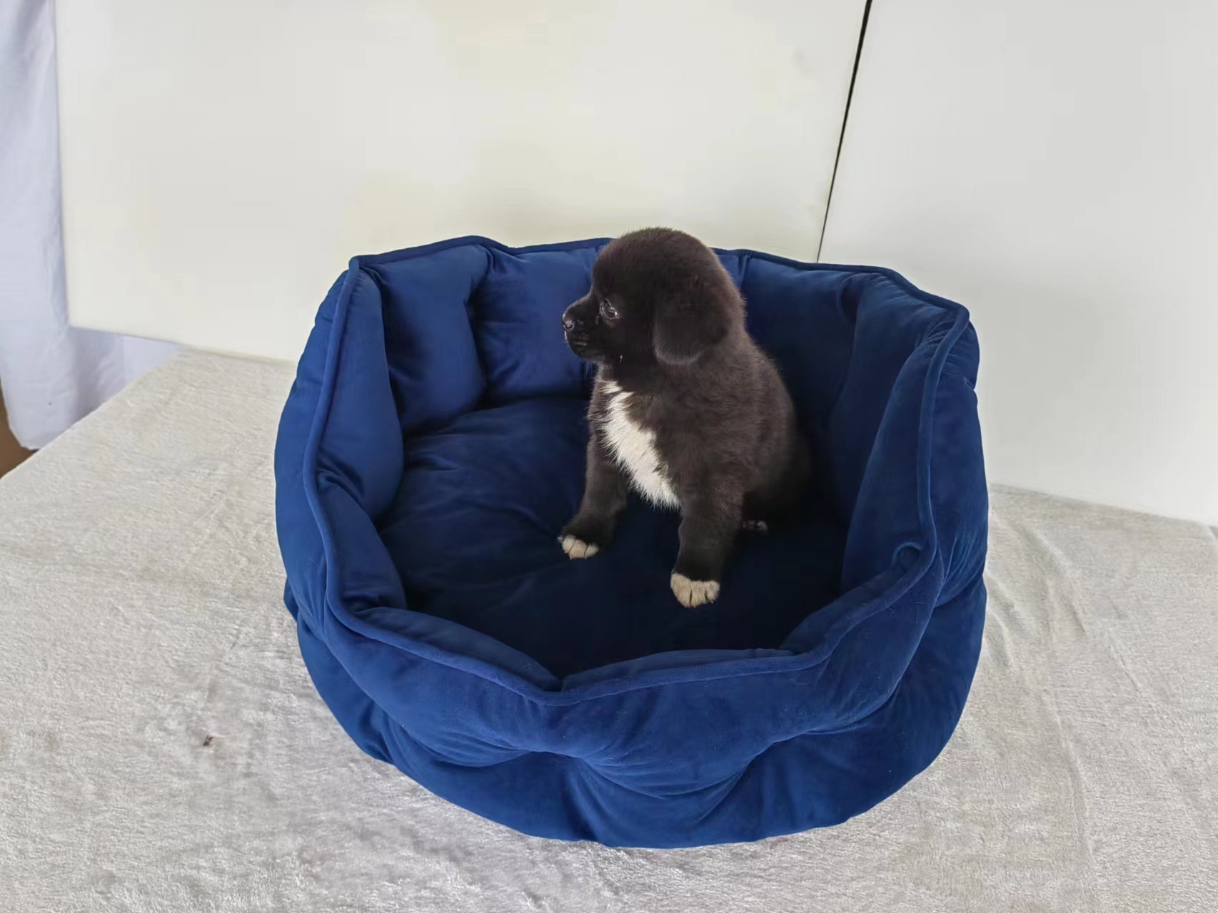 New design Dog bed soft comfortable luxury sleeping pet bed,  dog bed Round Cat Bed Dirty resistant dog bed, durable dog kennel