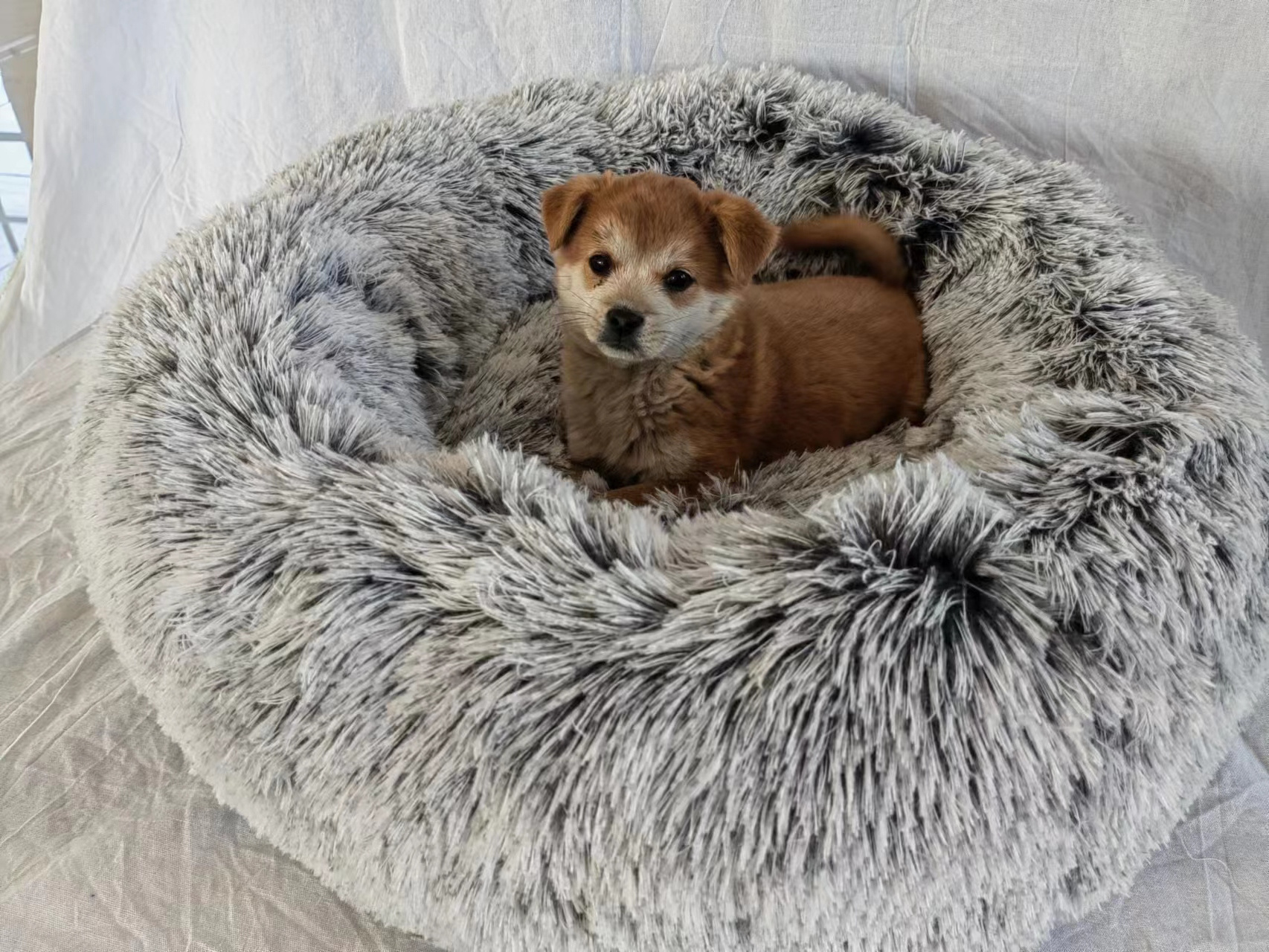 Cute cat bed Round dog bed soft comfortable luxury plush pet cushion grey colorful rainbow,  All-season Application dog bed