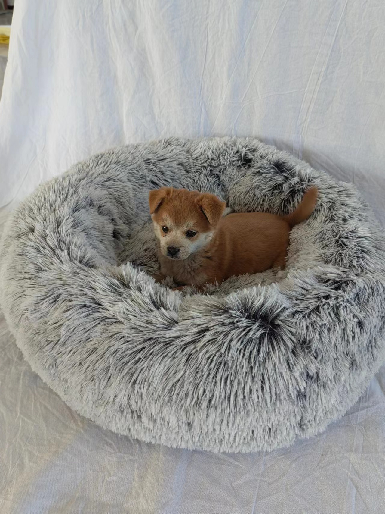 Cute cat bed Round dog bed soft comfortable luxury plush pet cushion grey colorful rainbow,  All-season Application dog bed