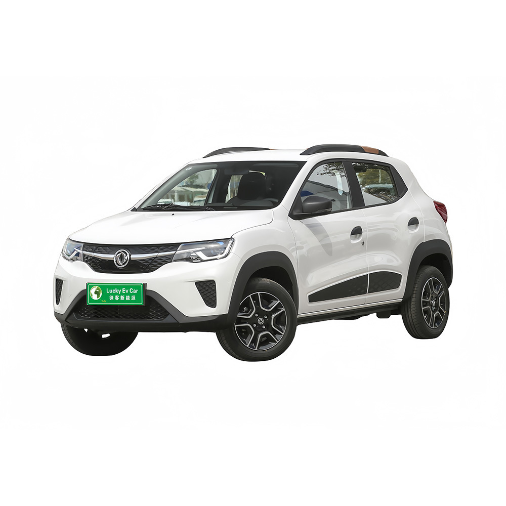 Dongfeng Nano Ex1 2024 Pro Light Wind Edition Popular Brand High Quality New Energy Vehicles Small Suv