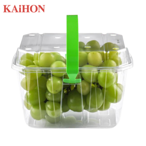 Hot sale food clamshell box transparent fruit blister box fruit plastic boxes packaging with handle