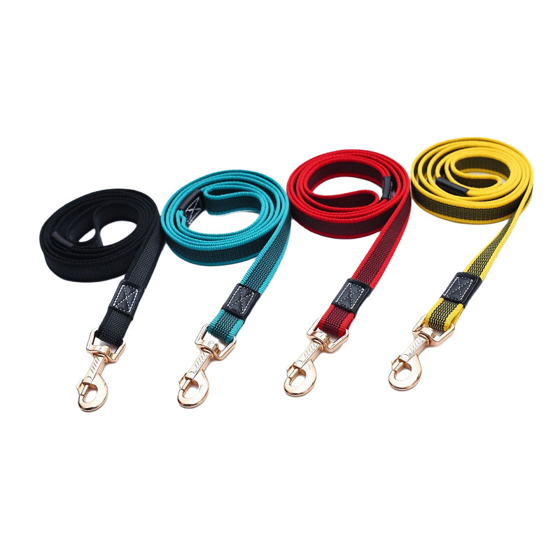 2023 New Factory Custom Non-slip Nylon Quick Release Outdoor Walking Training Dog Leash with Metal Hook