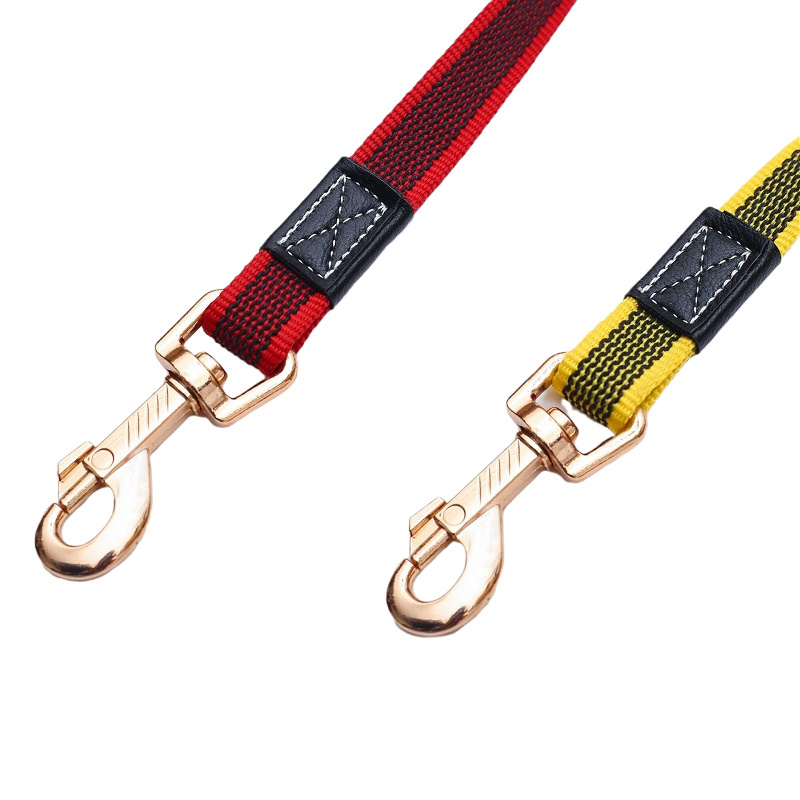 2023 New Factory Custom Non-slip Nylon Quick Release Outdoor Walking Training Dog Leash with Metal Hook