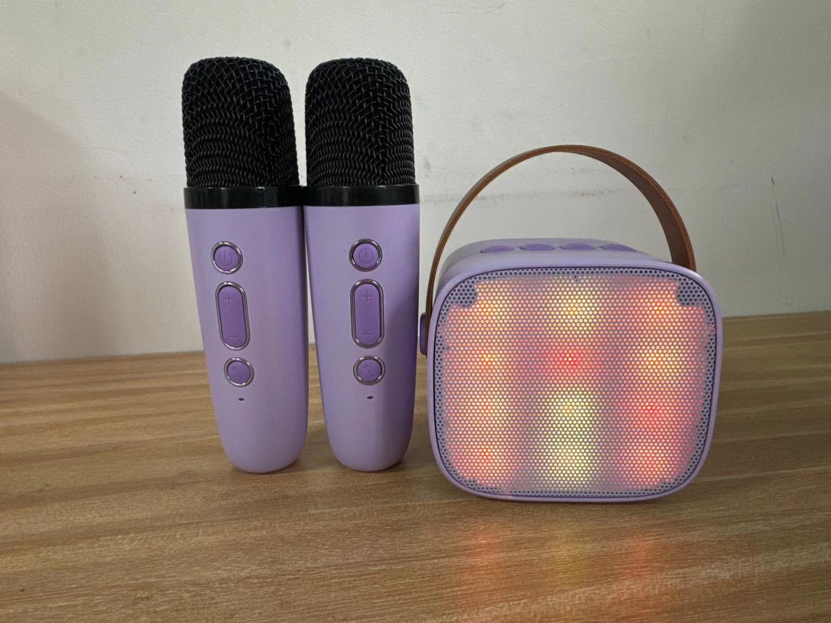 Portable Mini LED Light Small KTV Handheld Children's Mini Karaoke Microphone and K-Song Home Party Speaker Combination