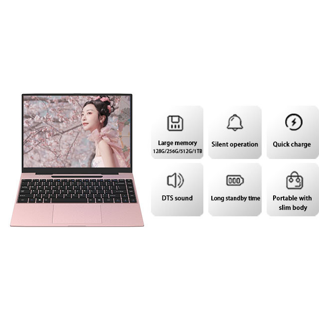 Factory wholesale Portable 14 Inch 3200*1800 3K Intel Core i5 10210U Generation I5 10th GEN Office Learning MINI Pink LAPTOP