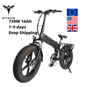 2022 China brand Engwe engine Pro 48V16Ah 65KM mileage Fast 750W brushless motor folding fat tire Bike ebike electric bicycle