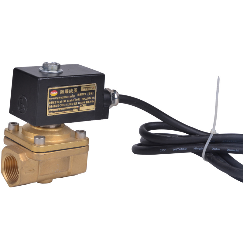 2W200-20 brass material 10, 16 bar normally closed Gas Natural gas control valve Explosion proof solenoid valve