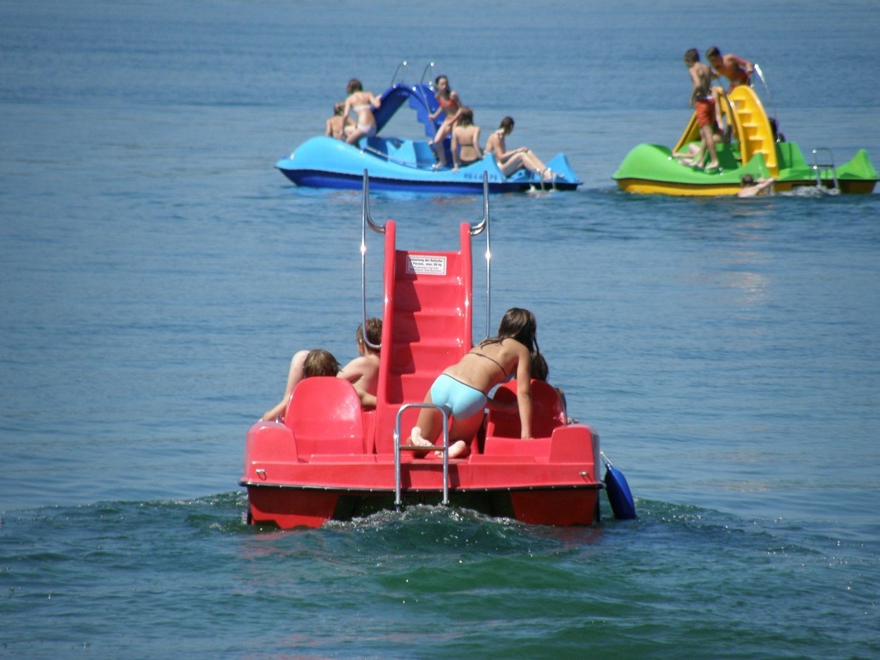 New design Dolphin shaped 4 person pedal slide boat with slide