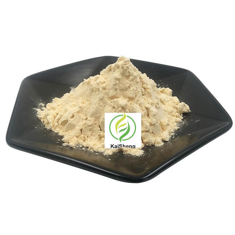 Wholesale 10:1 20:1 Phyllanthus Emblica Extract Amla Extract Powder Organic Pure Amla Powder