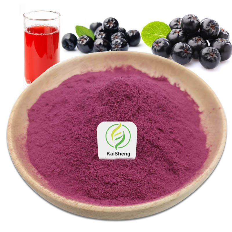 Best price high quality Aronia Berry Powder Aronia Berry Fruit Juice Powder Aronia Extract Powder