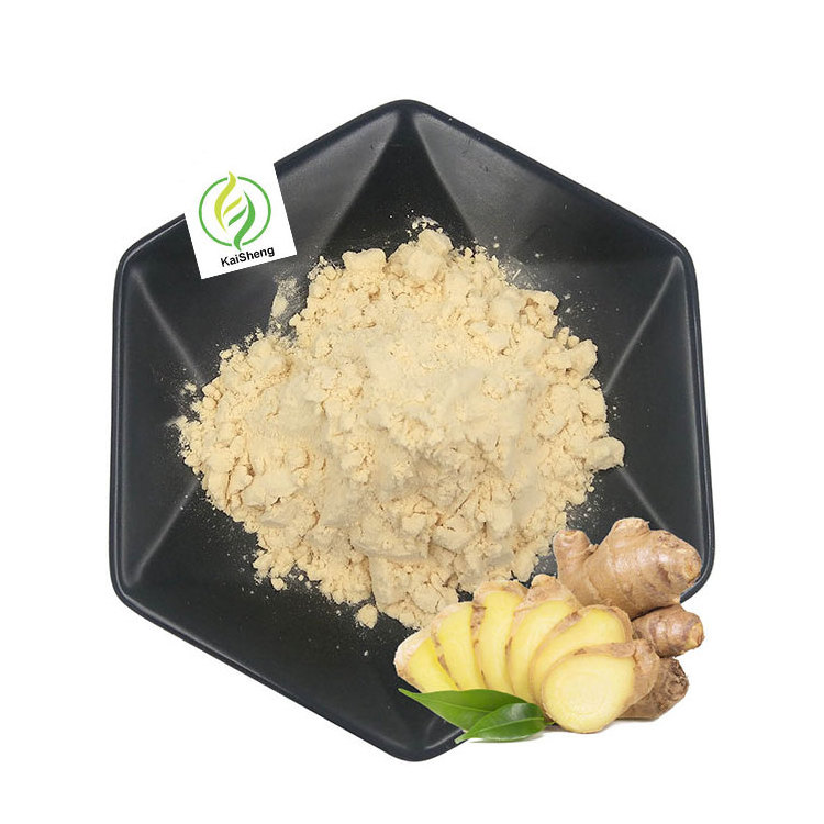 Wholesale Natural Ginger Root Extract Powder Gingerols 5% 20% Ginger Powder