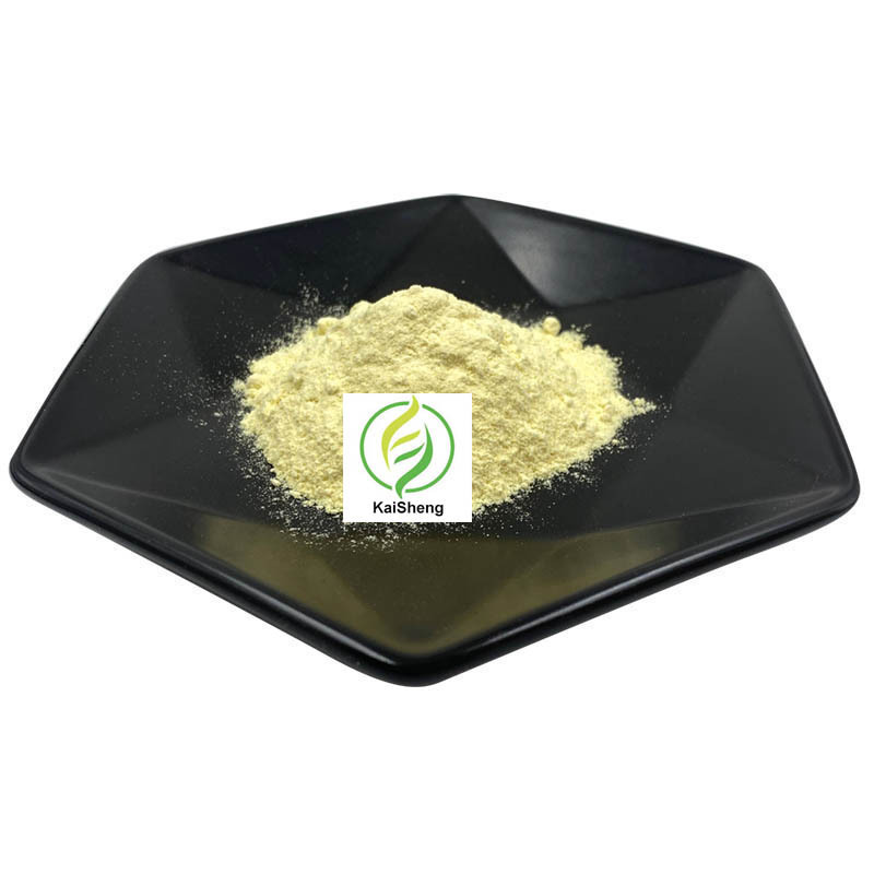 Wholesale Bulk Supply Kava Extract Powder high quality kava root extract  30% Kavalactones Kava Root Extract Powder