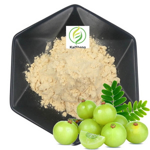 Wholesale 10:1 20:1 Phyllanthus Emblica Extract Amla Extract Powder Organic Pure Amla Powder