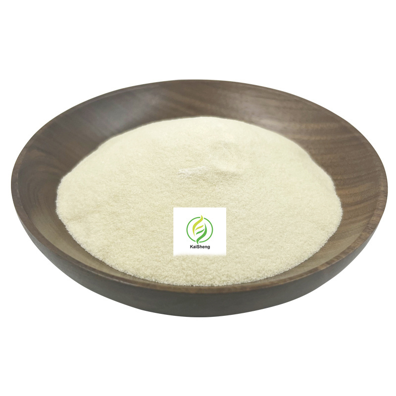 Wholesale Clear Hydrolyzed Beef Bone Fish Halal Edible Beef Gelatin Ice Cream Powder Gelatin