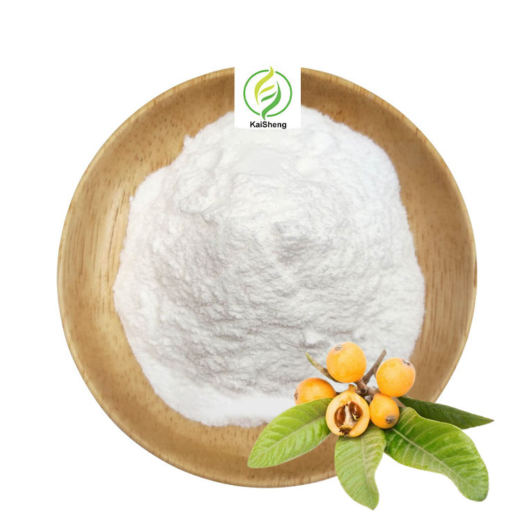 Wholesale High Quality Loquat Leaf Extract 98% Ursolic Acid Powder