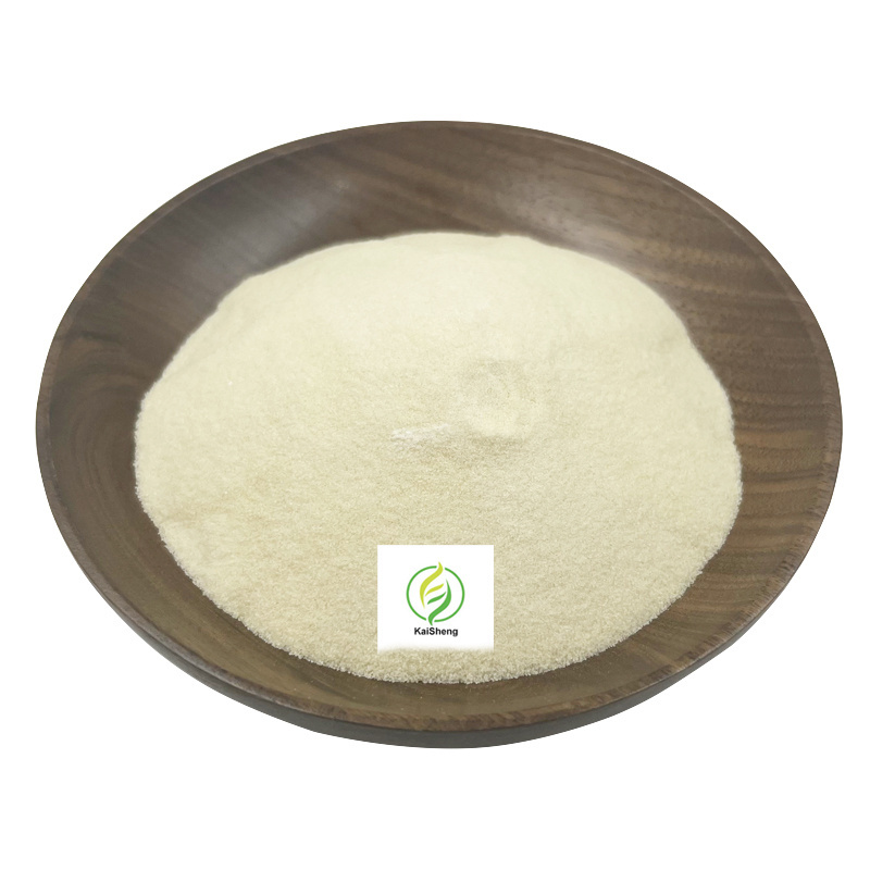 Wholesale Clear Hydrolyzed Beef Bone Fish Halal Edible Beef Gelatin Ice Cream Powder Gelatin