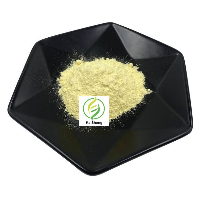 Wholesale Bulk Supply Kava Extract Powder high quality kava root extract  30% Kavalactones Kava Root Extract Powder