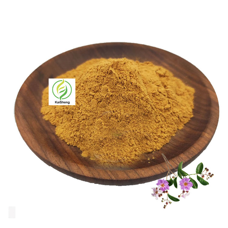 Wholesale Banaba Leaf Extract Powder 10% Corosolic Acid