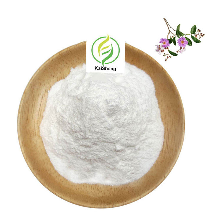 Wholesale Banaba Leaf Extract Powder 10% Corosolic Acid