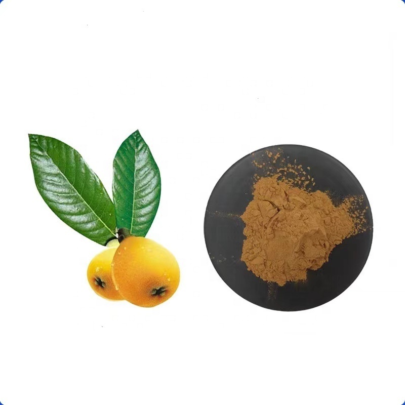 High Quality Natural Organic Loquat Leaf Extract Powder 5% 10% Corosolic Acid