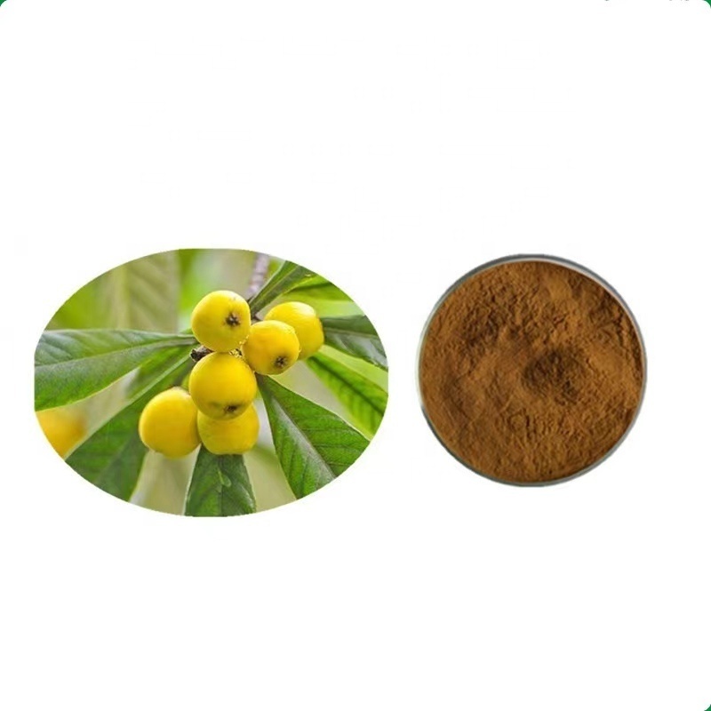 High Quality Natural Organic Loquat Leaf Extract Powder 5% 10% Corosolic Acid